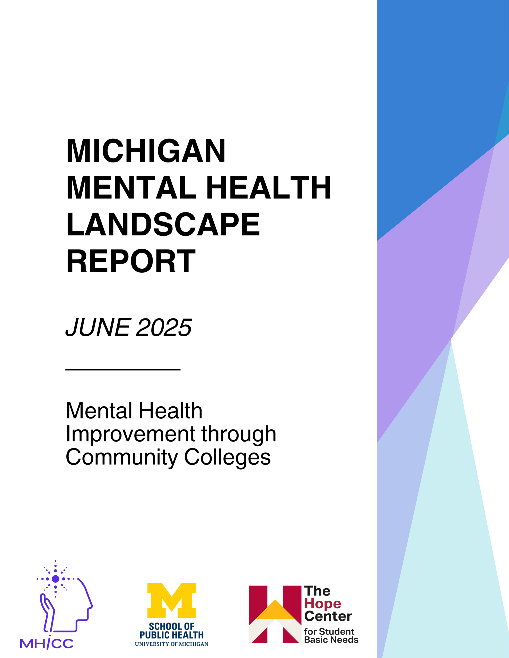 Statewide Mental Health Landscape Report Photo